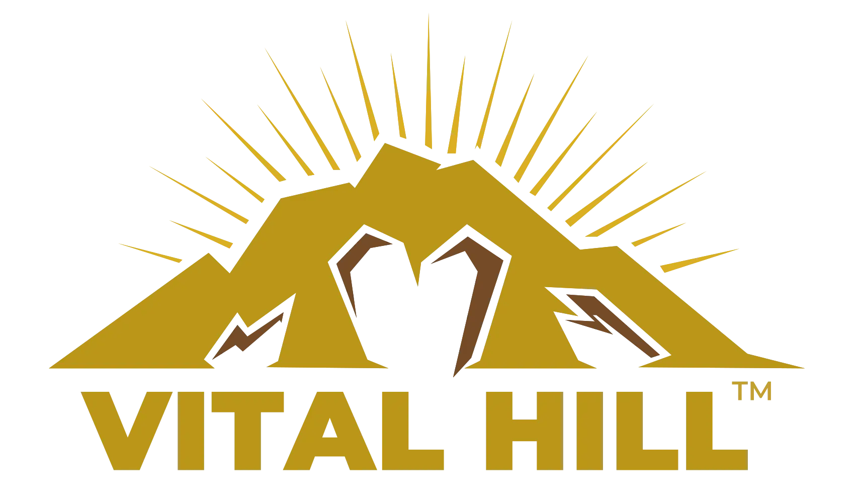 Vital Hills Shilajit Logo